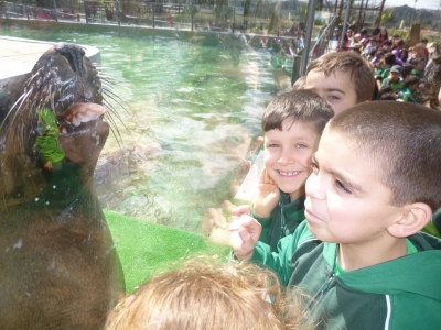 ZOO DA MAIA - FÉRIAS DA PÁSCOA NO EXTERNATO É UMA DIVERSÃO!