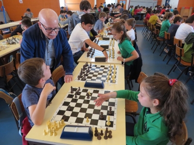 Encerramento de xadrez no &acirc;mbito do Desporto Escolar