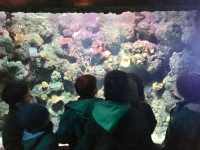 Pr&eacute;-escolar no Sea Life do Porto!